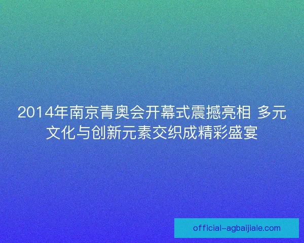 2014年南京青奥会开幕式震撼亮相 多元文化与创新元素交织成精彩盛宴